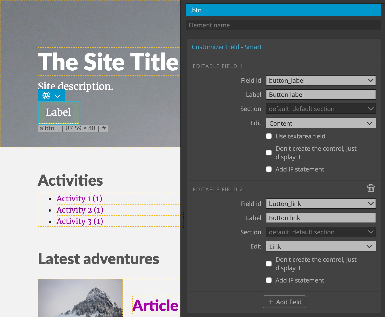 Add customizer fields on a button.
